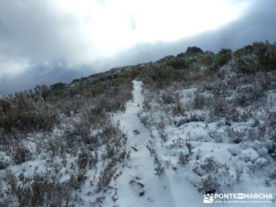 El Porrejón y Peña La Cabra; excursiones cerca de madrid; Sierra del Rincón;plano de la pedriza